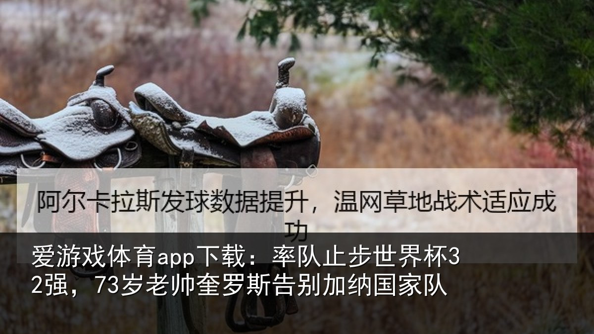 爱游戏体育app下载：率队相关情况帅奎相关情况队