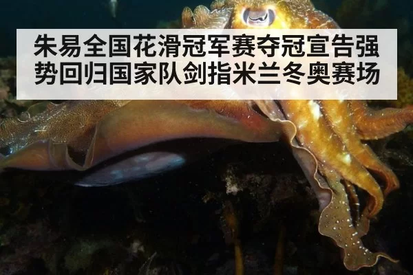 朱易全国花滑冠军赛夺冠宣告强势回归国家队剑指米兰冬奥赛场